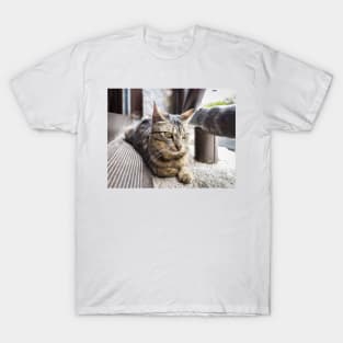 Greek Cat T-Shirt